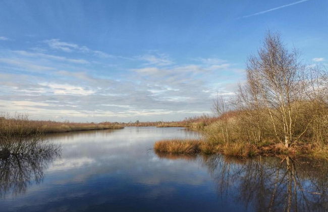 Bungalow in De Peel by Forest Retreat - Photo 26