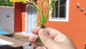 Casa de Praia no Condomínio Florestinha com 02 quartos - Foto 3