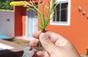 Casa de Praia no Condomínio Florestinha com 02 quartos - Photo 3