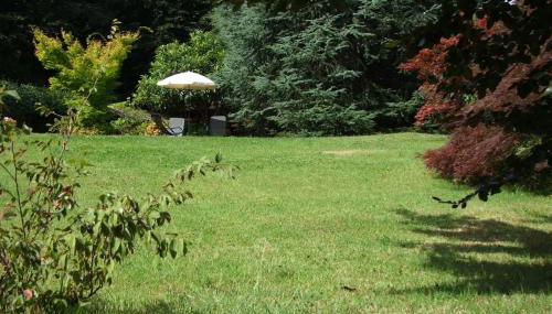 Monolocali In Casa Con Giardino Bellagio - Photo 5