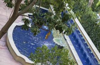 1 Bedroom XL Condo with King bed, Garden View, Parking Included - Foto 28