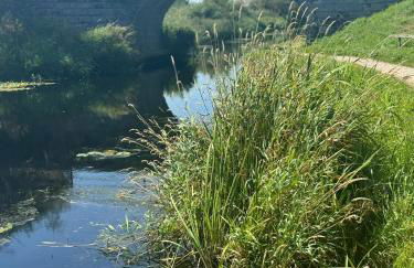 The Thimble static Holiday Home - Foto 22