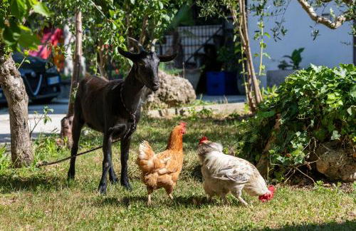 Cottoni Natural Space - Foto 23