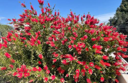 Villa Centenary Goose - Foto 34