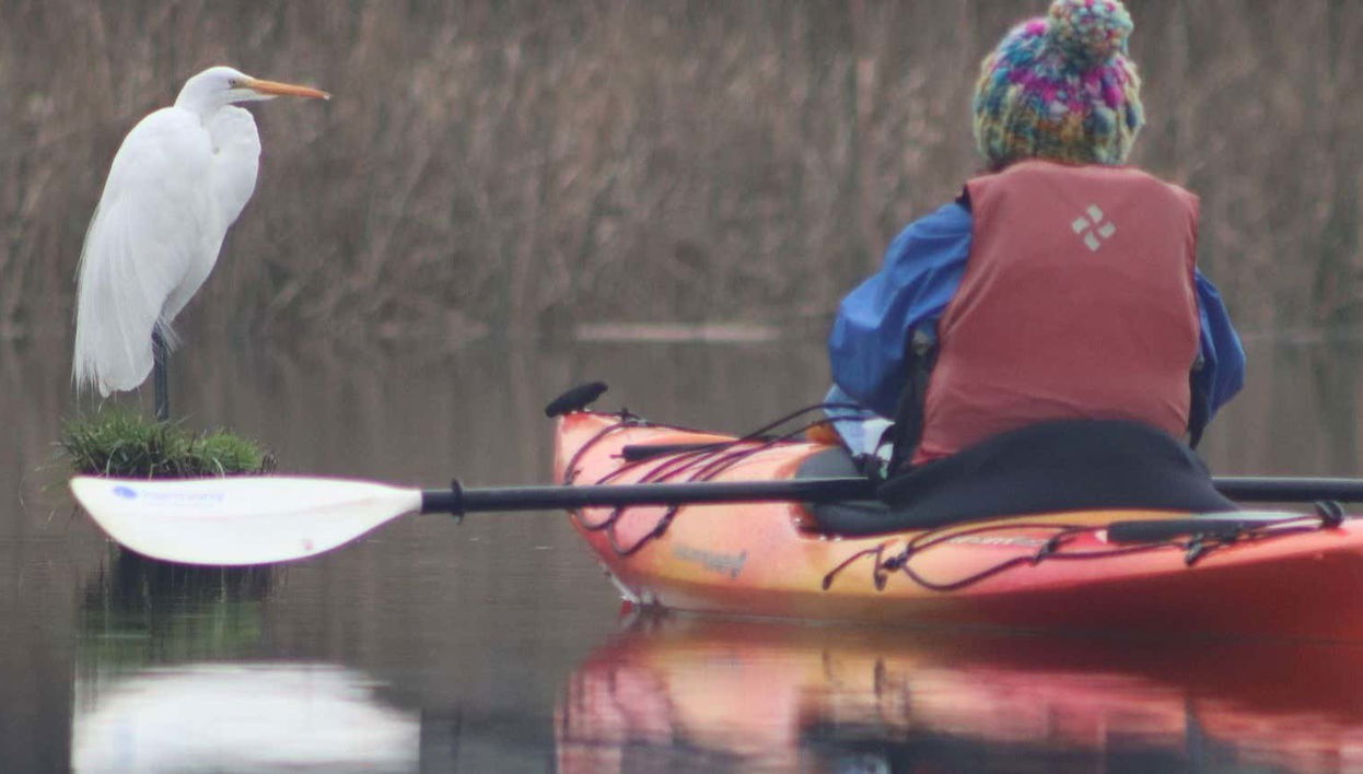 Kayaing Tour in The Valdivia River