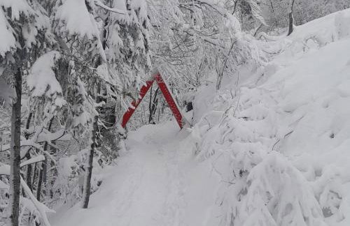 OG Apartman - Foto 49