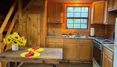 Dream of a Log Cabin - Foto 5