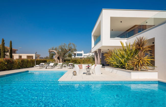 Old Olive I - Foto 18