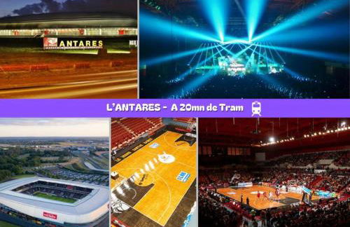 Flexy - T2 - L' Agate Grise - Le Mans - Foto 7