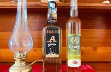 Alpine Majestic Escape - Balcone sulle Piste di Sci CIR 0102 - Foto 26