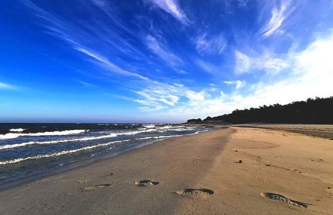 Tour en 4x4 por el golfo de Orosei - Photo 6