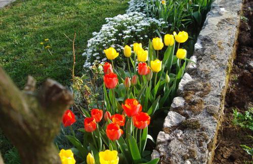 Apartmani Aldo - Foto 12