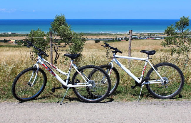 Oca Giuliva - Foto 24