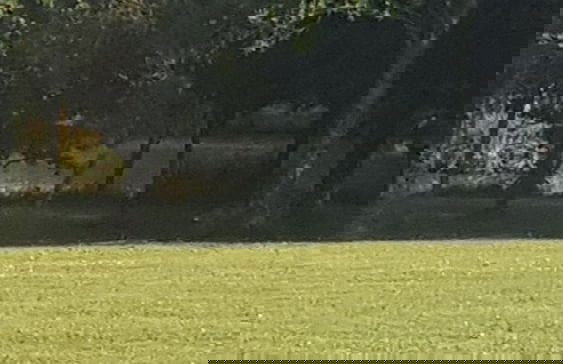 Thornbury Holiday Park - Foto 51