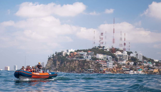 Mazatlán Whale Watching Tour + Whale Museum - Foto 4