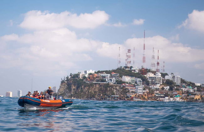 Whale watching a Mazatlán + Museo della Balena - Foto 4