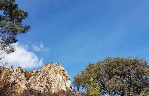 Palheirinho - Foto 14