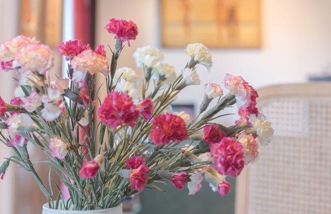 V32 with parking and shared pool - Photo 11