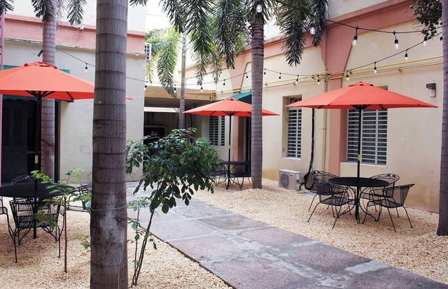 Gladiolas 1104 - Foto 7