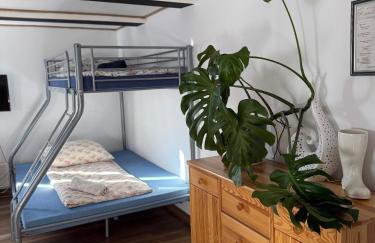 Agroturystyka Ranczo Gościszów - Foto 41