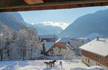 Mazot de Joe avec son hammam entre la Clusaz et Annecy - Foto 15