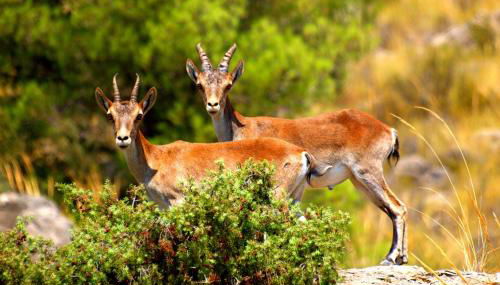 Casa Rural La Tahona - Foto 4