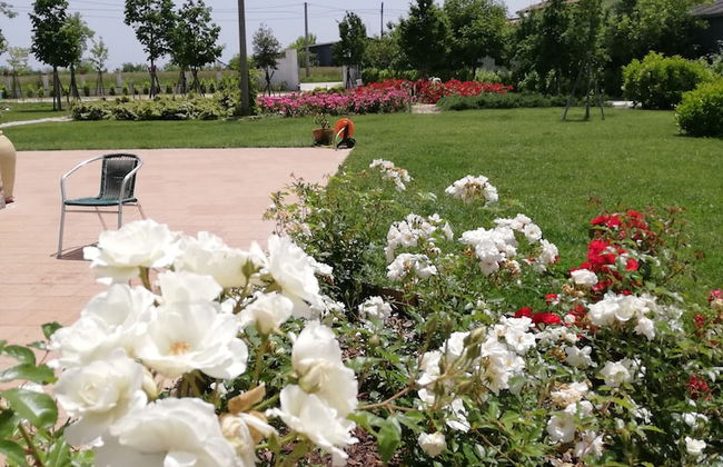 Masseria Fontana dei Fieri - Foto 42
