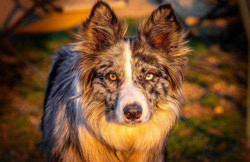 Agriturismo La Fonte - Photo 19