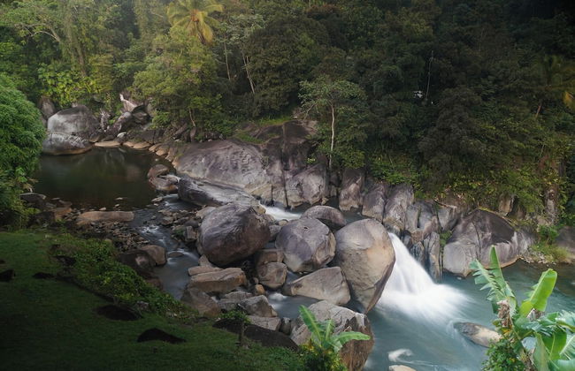 El Yunque Rainforest - Photo 31