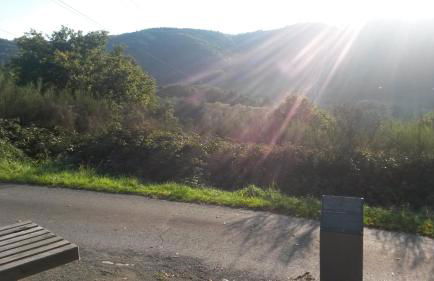 Ferienwohnung am Zeitenweg - Foto 16