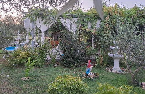 Apartments Gordana - Foto 67