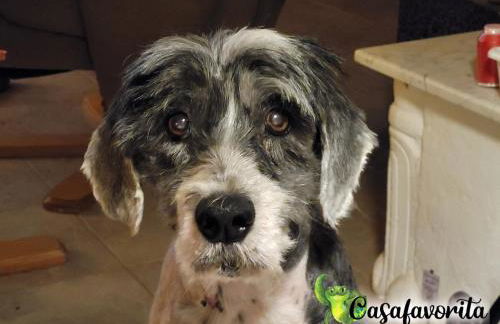 Casafavorita - Meer- und Teideblick für Zwei - Foto 47