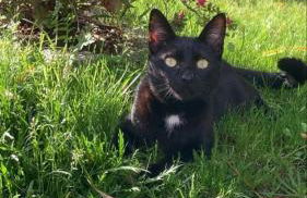 Casa dos avós - Foto 1