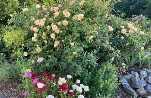 Ferienwohnung Schötz - Foto 40