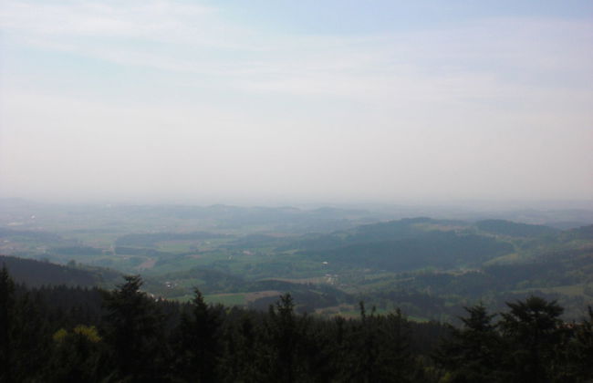 Holiday Home in Konzell With Terrace - Photo 32