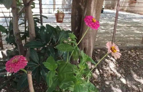 Finca Marina Turismo Rural - Foto 66