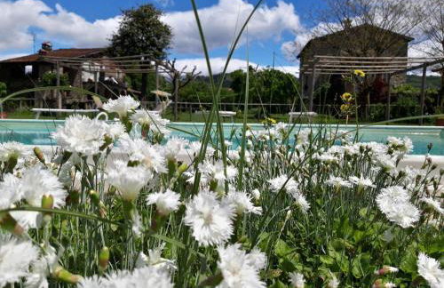 Agriturismo Chioi - Foto 14