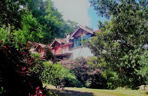 Casa Dell Angelo Apartamentos - Foto 46