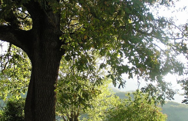 Agriturismo Ca' le Suore - Foto 61