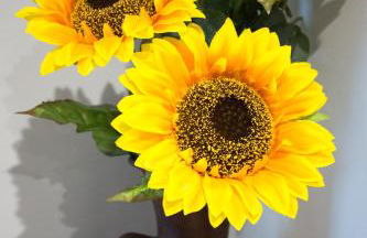 Casa Viana - Photo 45