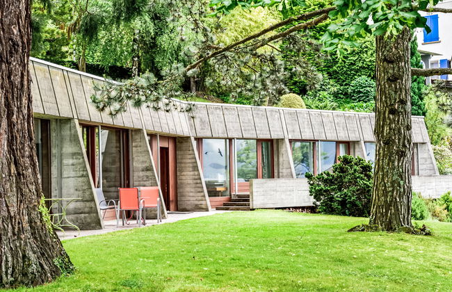 Duck House - Foto 23