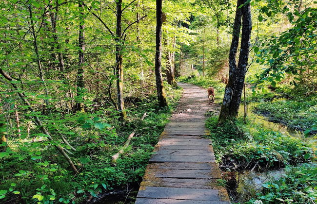 Wellness Apartment Keutschach Lakes Valley - Photo 22
