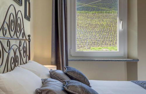 Ciabot delle Aie - Barolo - Foto 35