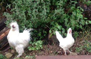 Podere Vinciguerra 39 - Foto 41