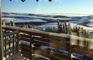 Lama-Gîte-des-Puys T3 Lamadalet, vue sud, terrasse, parking privé - Photo 22