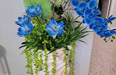 Relax 523 - Photo 48