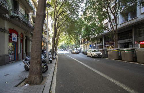 51flo1024 -Well located apartment in Sant Antoni - Foto 16