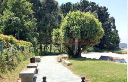 Apartamentos MonteBlanco Costa da Morte - Foto 29