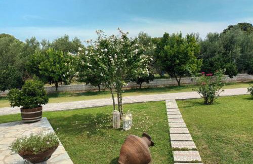 ZENIA Pelion garden house - Foto 6