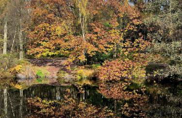 Rock Cottage - Log burners and jacuzzi bath - Foto 25